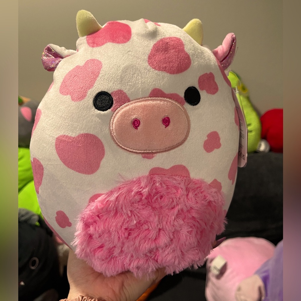 Evangelica Squishmallow